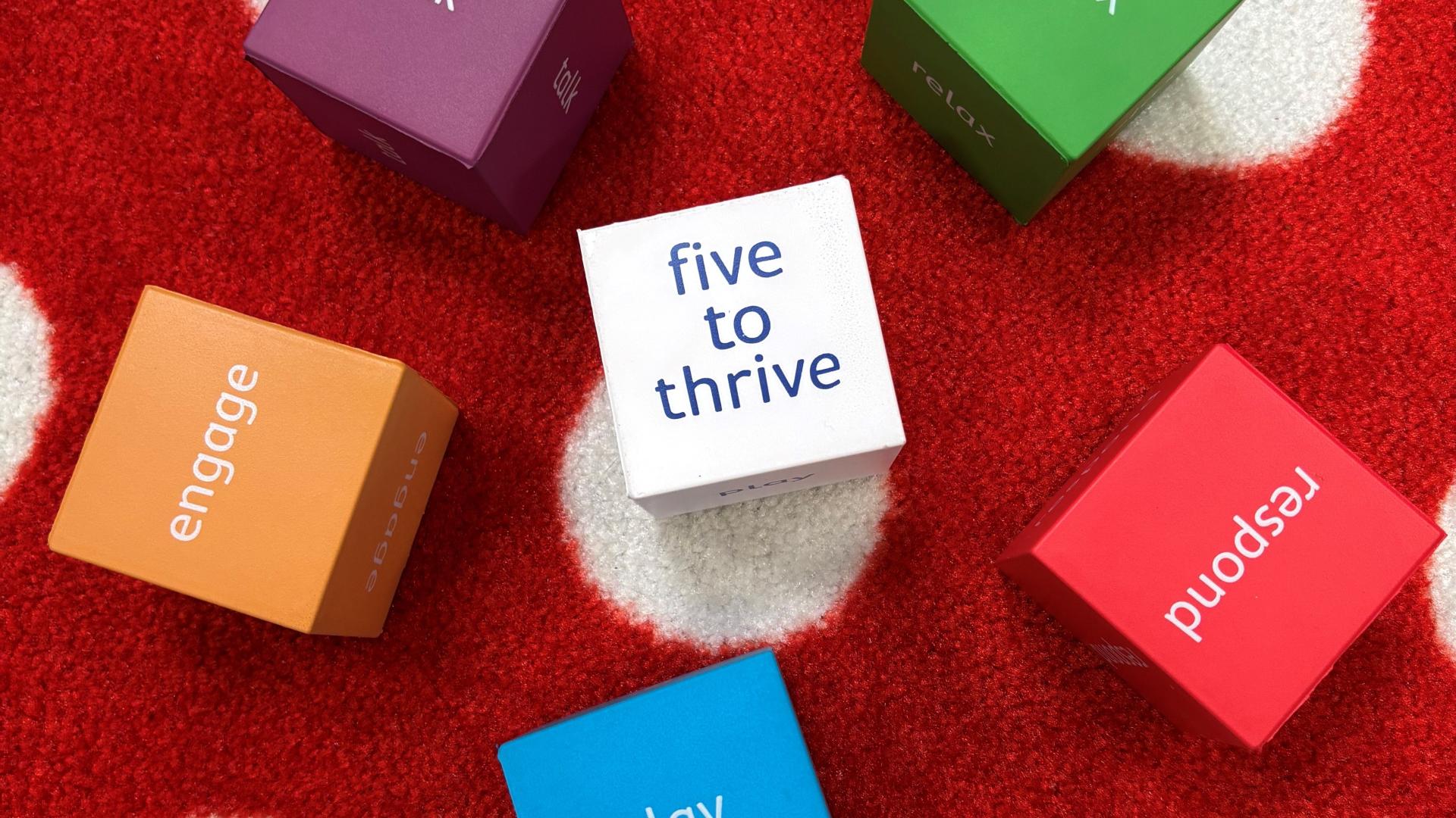 Five to Thrive blocks